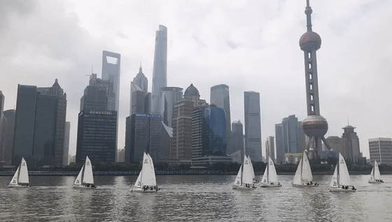 9.gif