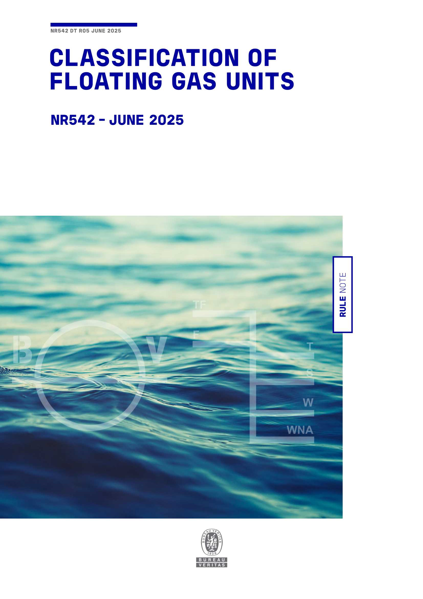 NR542 Classification of Floating Gas Units (06-2025) 浮式气体装置的_1.Png